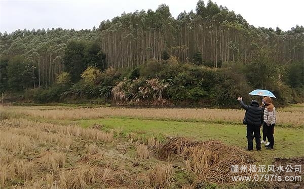 伊犁哈萨克自治州陈老师带着爱徒寻龙点穴